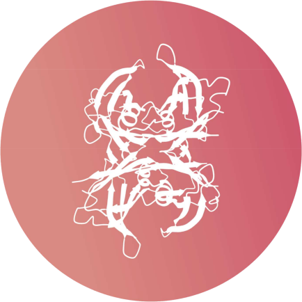 Amiloidose Hereditária por Transtirretina (ATTRv)