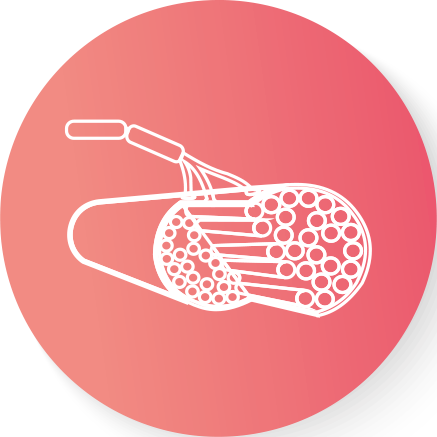 Miastenia Gravis generalizada (MGg)