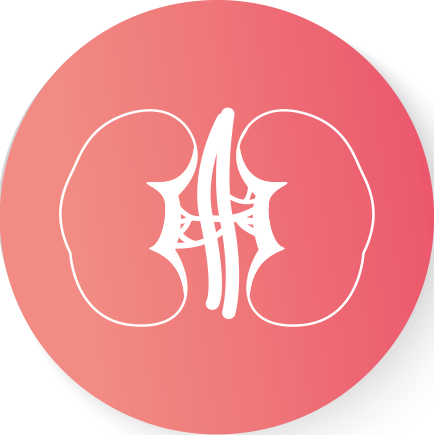 Síndrome Hemolítica Urêmica atípica (SHUa)